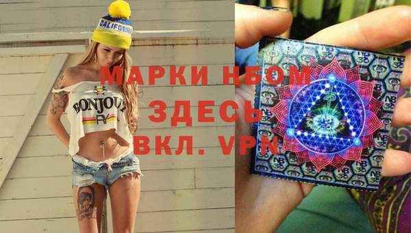 сатива Магас