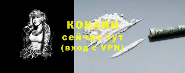 сатива Магас