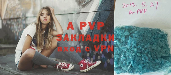 дживик Майский
