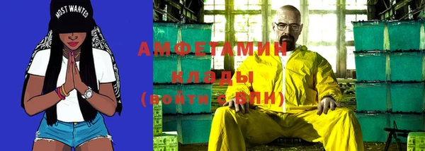 сатива Магас
