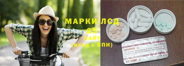 дживик Майский