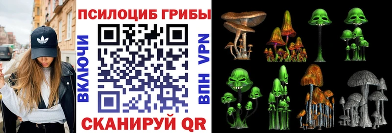 наркошоп  Улан-Удэ  Псилоцибиновые грибы MAGIC MUSHROOMS 