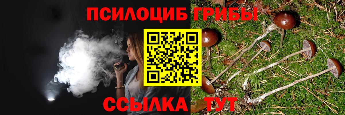 Улан-Удэ  Галлюциногенные грибы мухоморы  Вход с VPN 