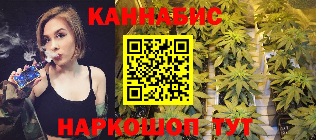 Шишки марихуана семена  Каннабис OG Kush  Вход с VPN  Улан-Удэ  Бошки марихуана ГИДРОПОН 